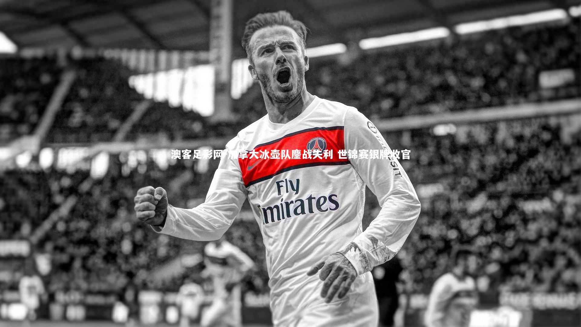 加拿大冰壶队鏖战失利 世锦赛银牌收官