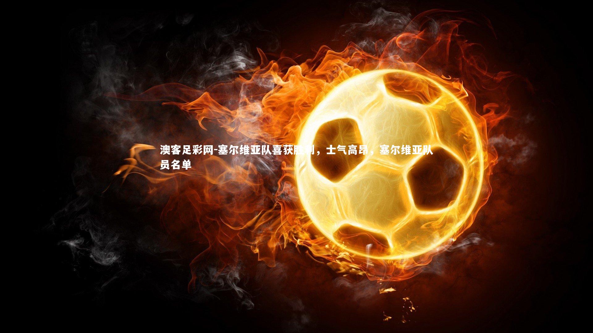 塞尔维亚队喜获胜利，士气高昂，塞尔维亚队员名单